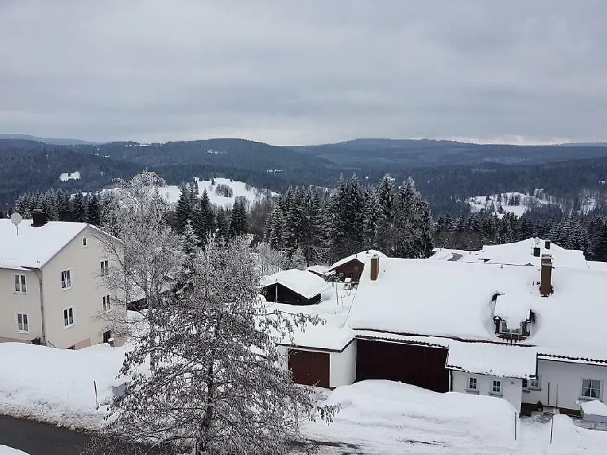 Apartment Almberg Mitterfirmiansreut 0*,